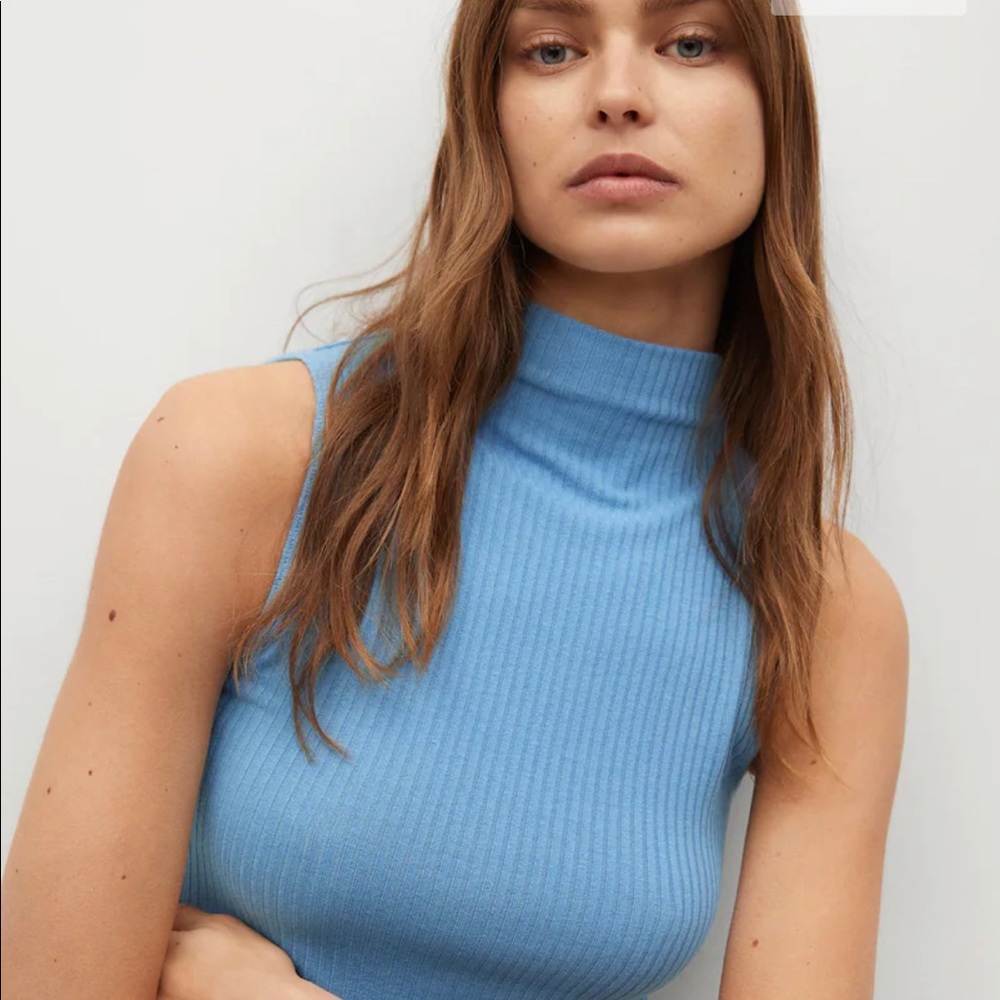 Mango Mockneck Sleeveless Crop Top